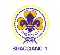 agescibr1